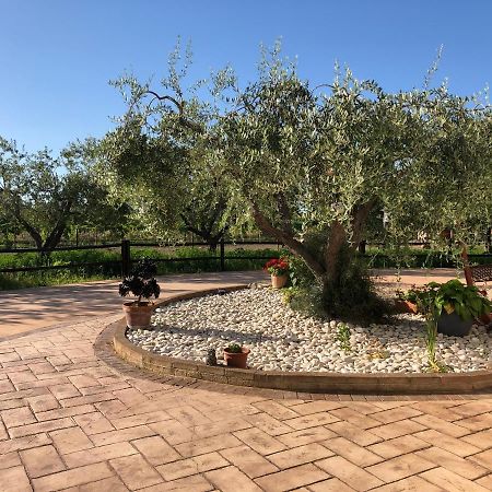 B&B Villa Eden Ortona Exteriér fotografie